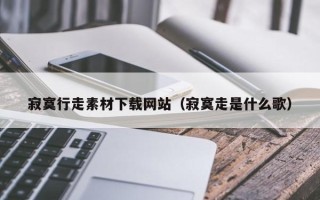 大悟寂寞行走素材下载网站（寂寞走是什么歌）